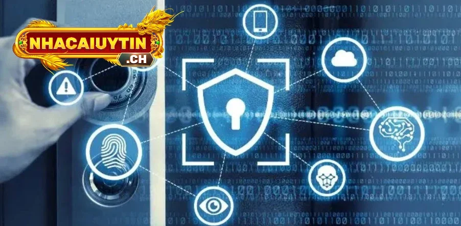 Toàn bộ dữ liệu sẽ được xử lý khi người xem ngừng truy cập