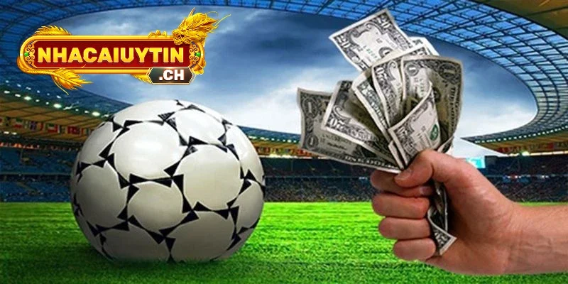 Chuyên phân tích những nhà cái thể thao hàng đầu ở châu Á